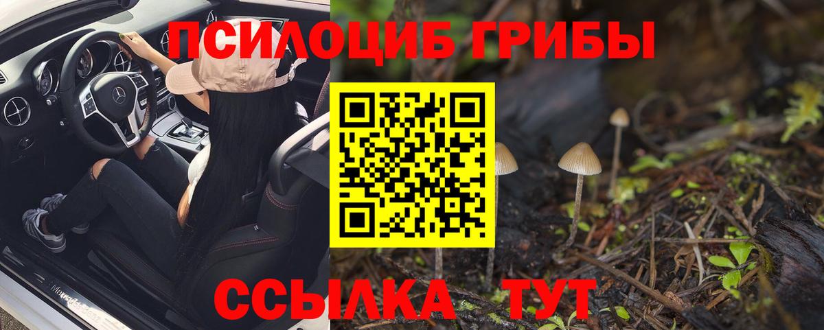 Псилоцибиновые грибы мухоморы Спасск-Дальний